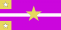The Kahoot Flag.png